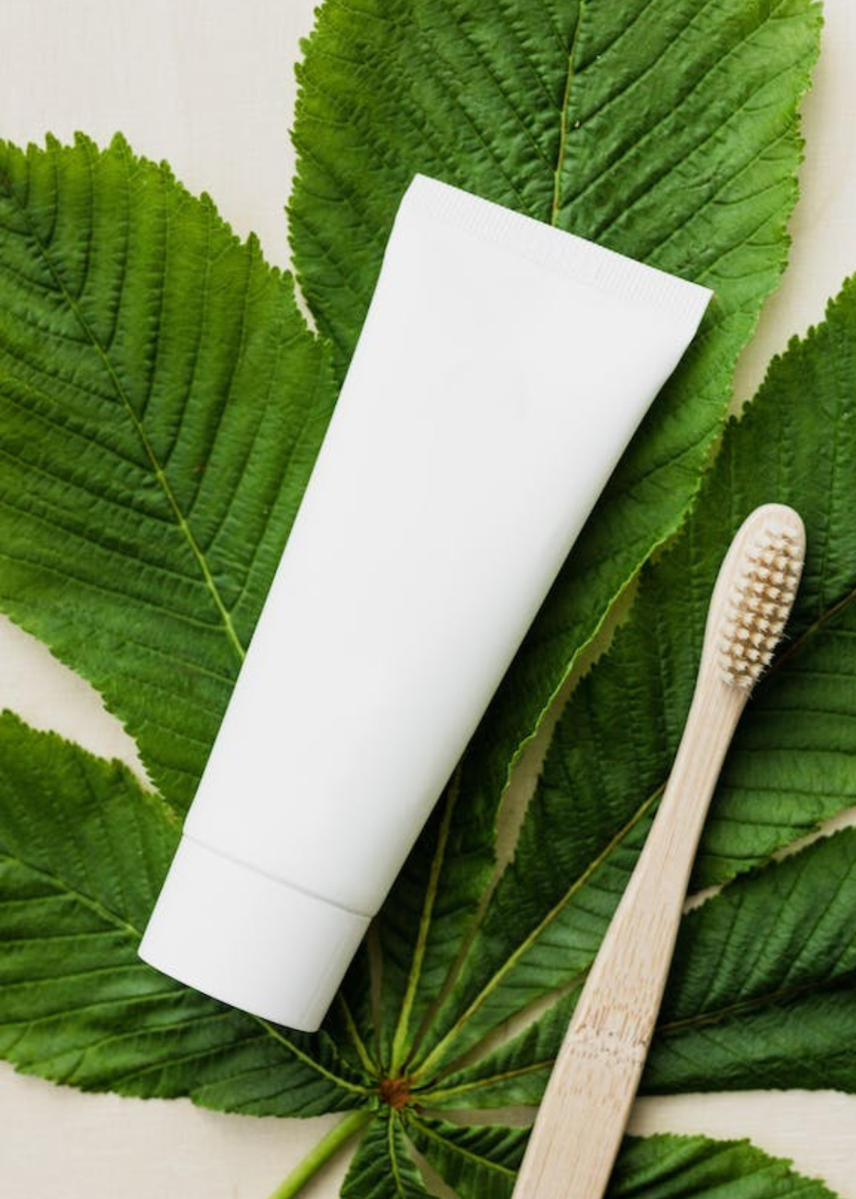 Top 5 Dog Toothpastes for Clean & Healthy Teeth