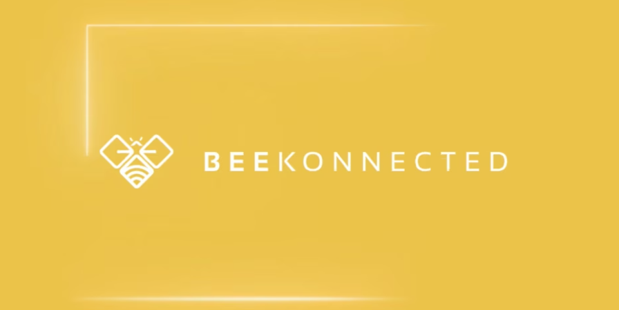 Experience the Future of Online Business with BeeKonnected